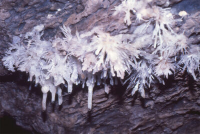 Aragonite in a local cave