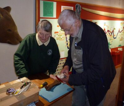 Inspecting a fossil bone